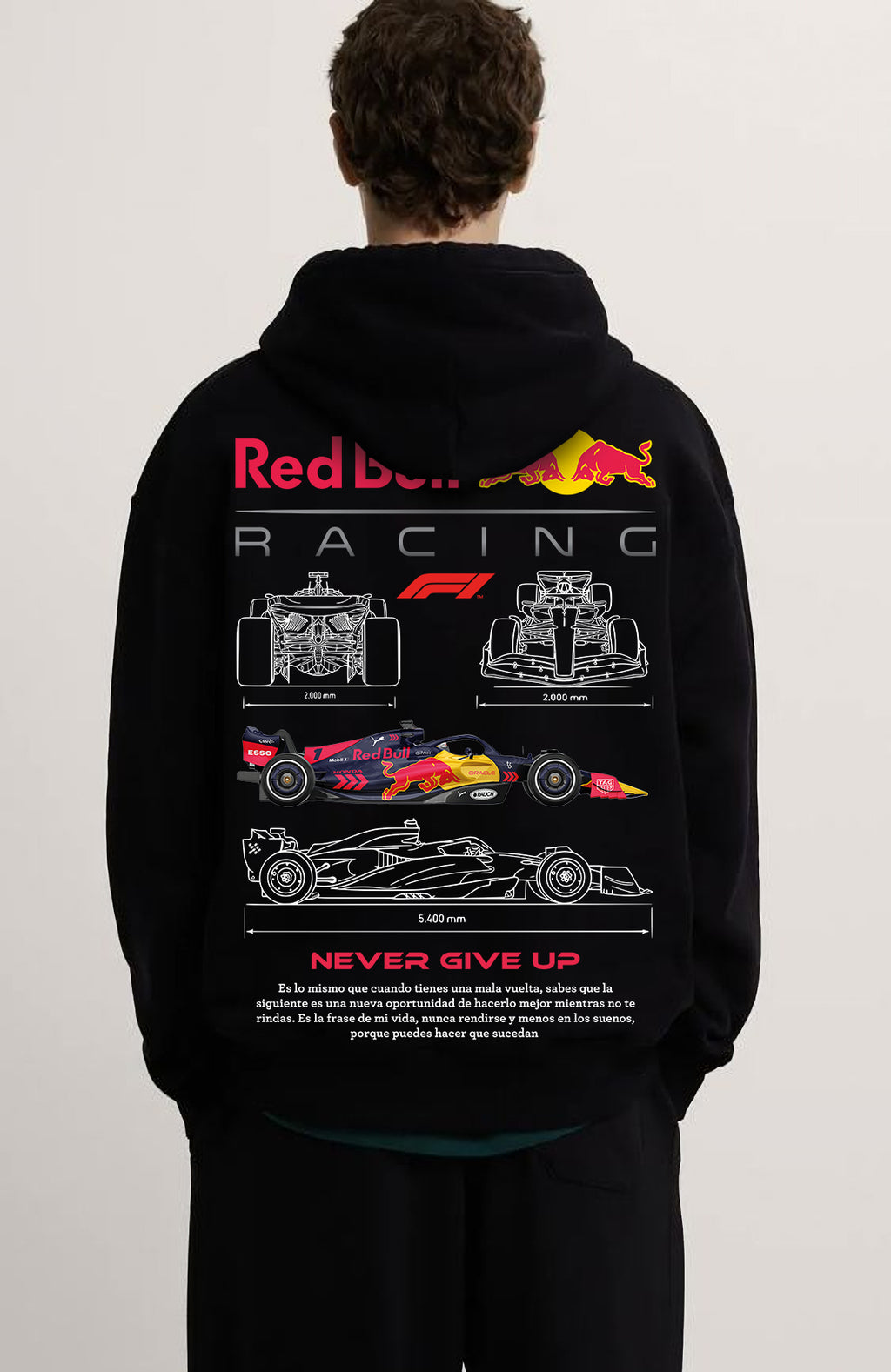 F1 Redbull Team ön ve sırt baskılı Siyah 3 Ip Kalın Kumaş Unisex Sweatshirt Hoodie