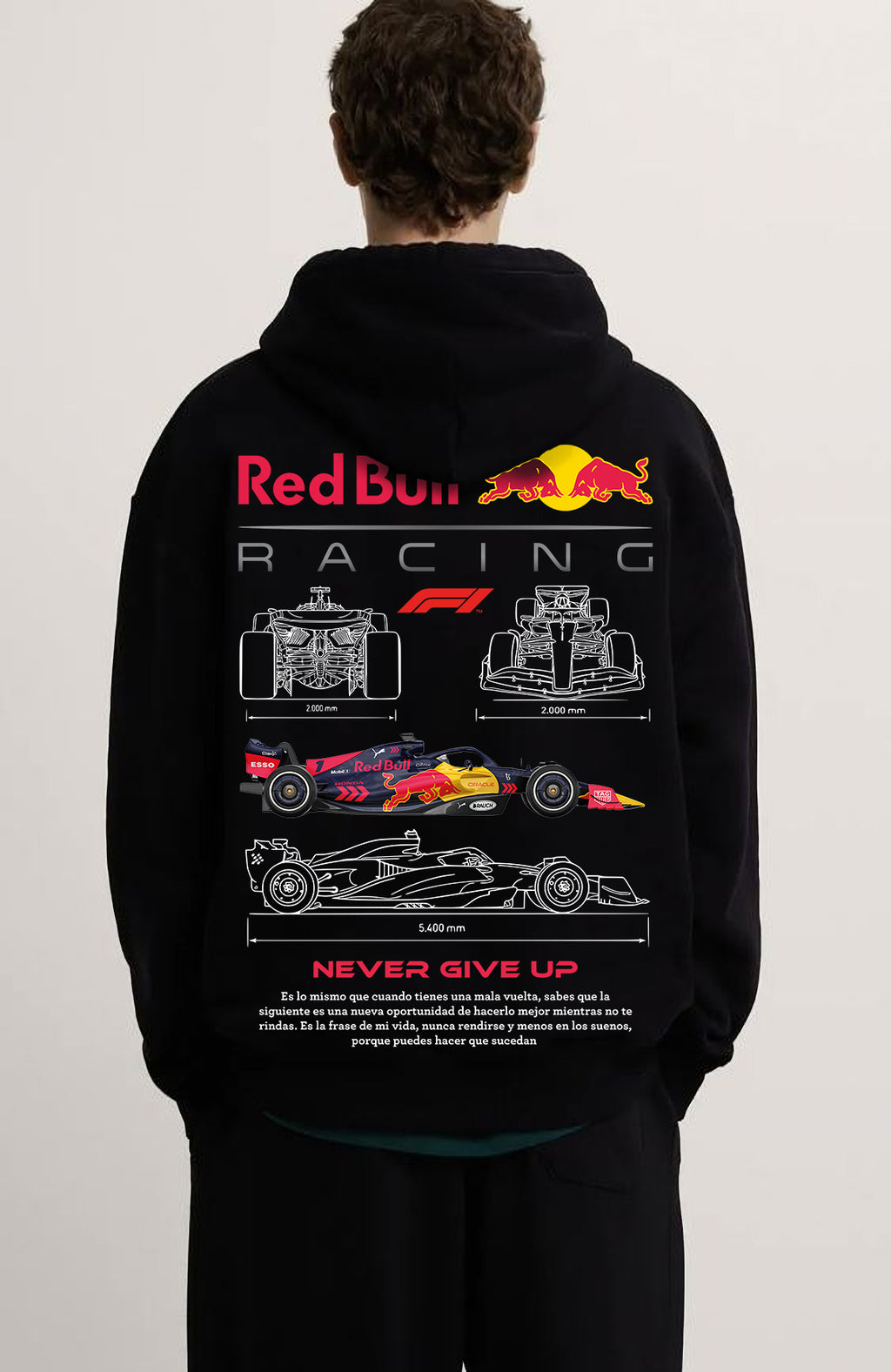 F1 Redbull Team ön ve sırt baskılı Siyah 3 Ip Kalın Kumaş Unisex Sweatshirt Hoodie